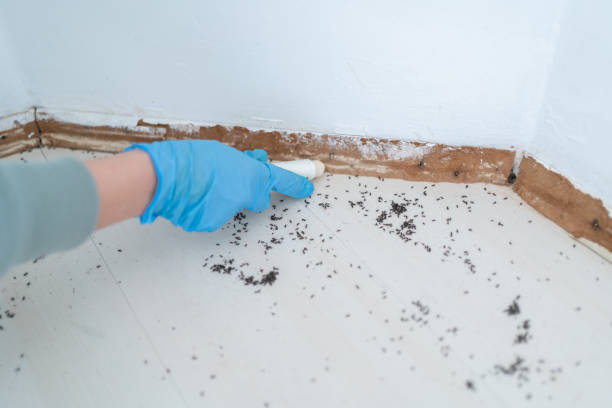 Best Pest Removal Services  in Wingdale, NY