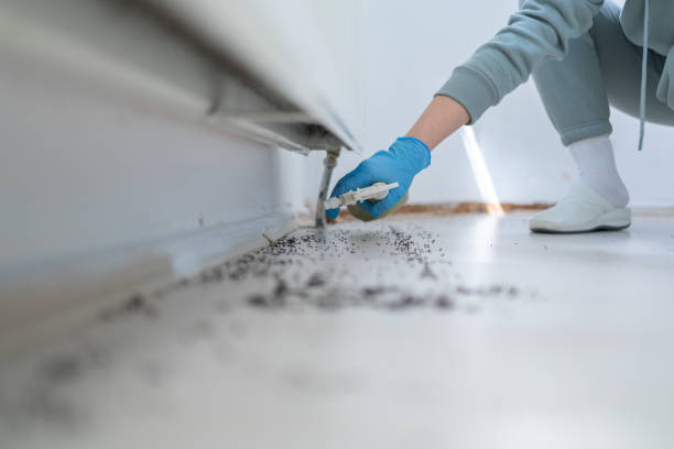 Best Wasp Removal Services  in Wingdale, NY